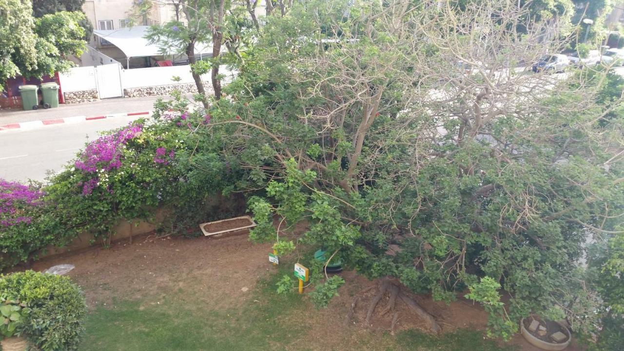 Herzliya Center Apartments 外观 照片